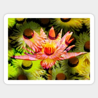 Flowers of beauty Sticker